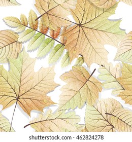 Detailed leaves seamless background. EPS 10 vector file included