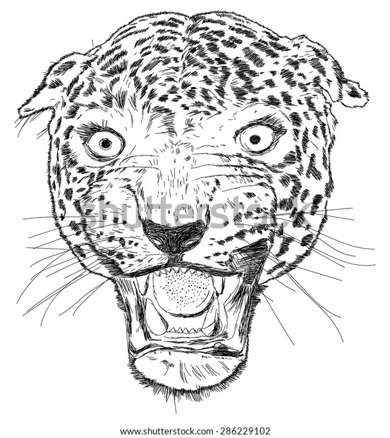 Detailed Leopard Face Vector Illustration Handmade Stock Vector