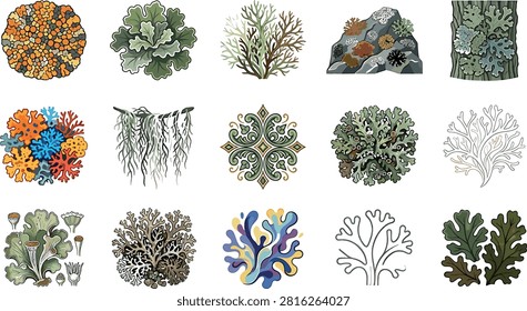Detailed lichen and moss botanical vector illustration set featuring various forest fungi marine seaweed and ornamental organic coral plant forms