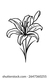 Detalhada Lily Flor Vetor Linha Arte Ilustração com Bud e Folhas