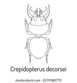 Detailed line art of the Crepidopterus decorsei beetle, showcasing its intricate anatomy. Ideal for educational materials, entomological studies, coloring books, and scientific designs.