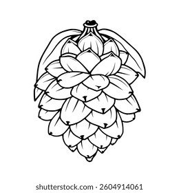 Detailed Line Art Drawing Of A Pine Cone