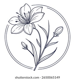 Uma ilustração detalhada da arte da linha de uma flor florescente com botões, encerrados em um quadro de círculo de linha dupla.