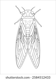 Detailed line art illustration of a cicada, ideal for coloring books, entomology studies, and nature-themed designs