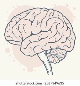 Detailed line art illustration of a human brain, featuring intricate anatomical details and a soft pink color palette. Ideal for medical, educational.