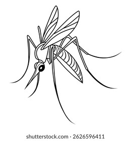 A detailed line art illustration of a mosquito, showcasing the insect's slender body, wings, and long legs, ideal for educational and design use.