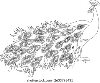A detailed line art illustration of a peacock, ideal for nature, wildlife, or elegant design themes.
