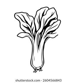 Detailed Line Art Illustration Of A Single Celery Stalk