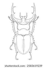 Detailed line art illustration of a stag beetle, perfect for coloring books, educational materials, and nature-themed designs