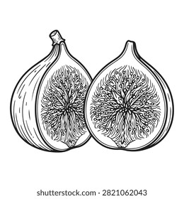 Detailed line art illustration of two halved figs with illustration botanical vegetarian ingredient monochrome isolated culinary nutrition interior vitamins antioxidants healthyfood
