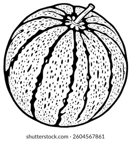 Detailed Line Art Illustration Of A Whole Watermelon