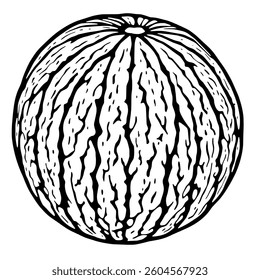 Detailed Line Art Illustration Of A Whole Watermelon