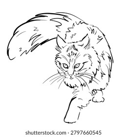 Detailed line art vector