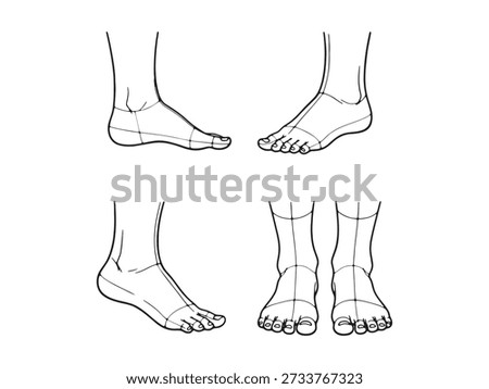Detailed line art vector illustration set showcasing human feet from different perspectives, including side, top, and front views.