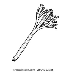 Detailed Line Drawing Of A Branch With Many Small Twigs
