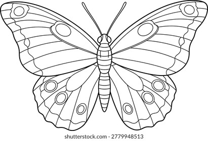 A detailed line drawing of a butterfly with large wings featuring distinctive patterns and circles, ideal for coloring and educational purposes.