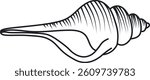 A detailed line drawing of a conch shell with curved, spiraling patterns. The shell