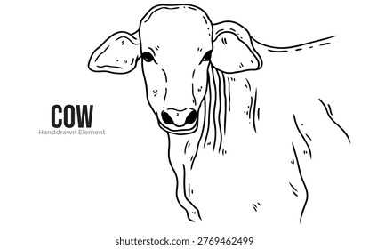 A detailed line drawing of a cow's head and upper body, with the word 