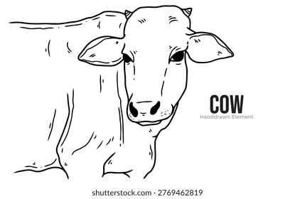 A detailed line drawing of a cow's head and shoulders, with the word 