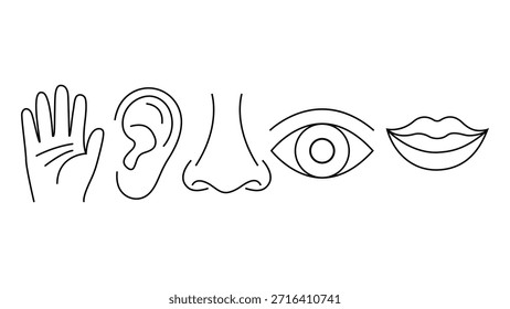 A detailed line drawing featuring a collection of human body parts including a hand with fingers, an ear, a nose, an eye with iris and pupil, and a pair of lips, all in a simple black line art style o
