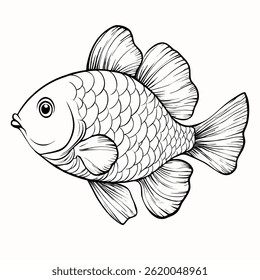 A detailed line drawing of a fish with prominent scales and fins, showcasing its side profile. The fish has a round body and a small mouth, emphasizing its features in a minimalist style.