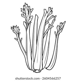 Detailed Line Drawing Of Fresh Celery Stalks