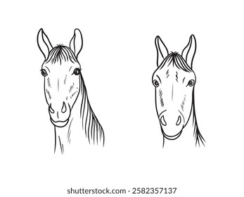 Detailed line drawing of a horse head and neck in black isolated on white background. Hand drawn vector sketch illustration in doodle vintage line art style. Domestic farm animal, friendship