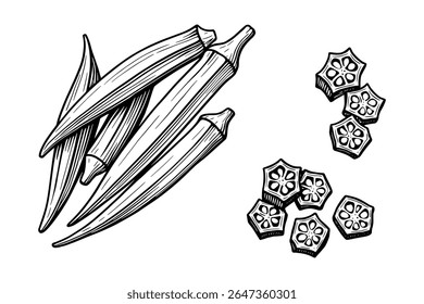 Desenho de linha detalhado de pods e fatias de Okra para ilustrações culinárias
