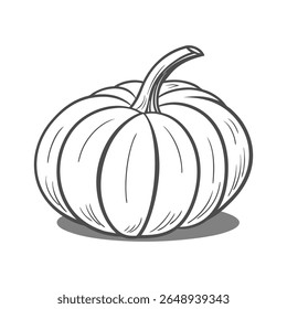 A detailed line drawing of a pumpkin isolated on white background, perfect for autumn and Halloween themes.