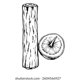 Detailed Line Drawing Of A Shiitake Mushroom And Log