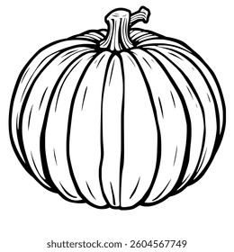 Detailed Line Drawing Of A Single Round Pumpkin