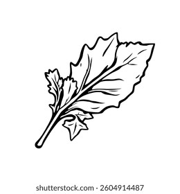 Detailed Line Drawing Of A Single Sprig Of Greens