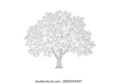 A detailed line drawing of a tree with a sturdy trunk and sprawling branches covered in leaves, depicted in a simple yet intricate style on a white background