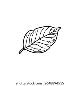 Detailed line work shows a singular leaf prominently displayed with striking vein detail, set against a clear backdrop offering versatility and emphasizing organic structure.