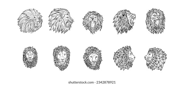 Detailed Lion Head Hand Drawn Illustration Vector Set. Roaring, Anger, Expression, Side View, Lion Vector Illustration