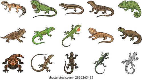 Detailed lizard and reptile vector icon set featuring iguana chameleon bearded dragon gila monster and horned toad wildlife graphics