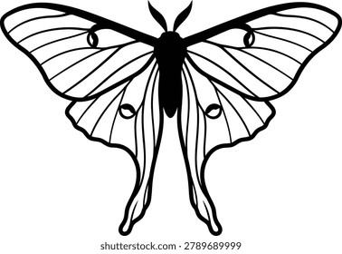 Detailed Luna Moth Line Art Vector Illustration with Elegant Wing Details