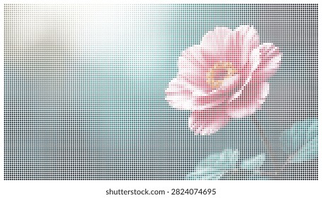 Detailed macro shot of a beautiful pink tulip, delicate petals, soft focus background. Floral beauty and nature.