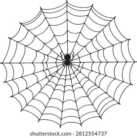 Detailed macro of a spider on its web.
