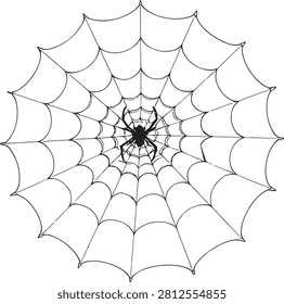 Detailed macro of a spider on its web in natural setting.