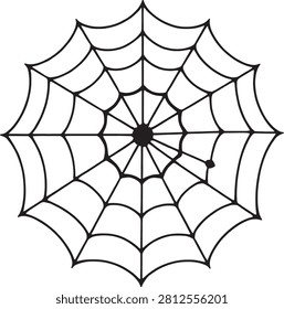 Detailed macro of a spider on web, natural setting.
