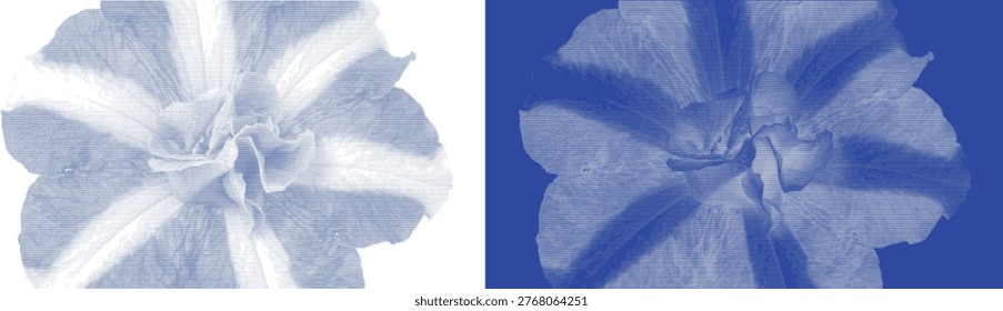 Detailed macro view of a flower bloom showcasing artistic cyanotype blue sunprint effect for backgrounds