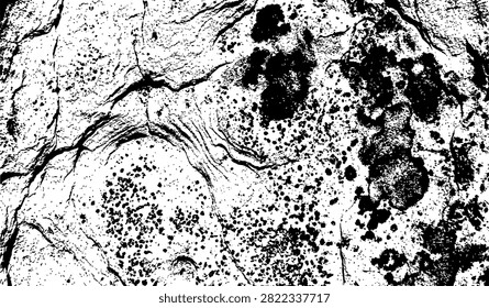 Detailed macro view of weathered rock showing deep fissures and lichen growth. Ideal for natural backgrounds and design elements.