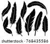 feather vector