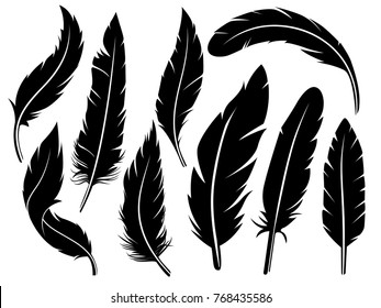 colección detallada de plumas majestuosas