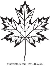 Detailed Maple Leaf Illustration Black and White Autumn Leaf Art