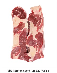 Detailed meat cut vector isolated on white background
