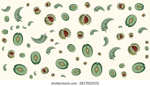 Detailed microscopic image of green algae showing circular and spiral shapes in natural shades for biology research and educational purposes
