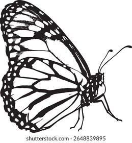 Um desenho monocromático detalhado de uma borboleta monarca com intrincados padrões de asas.