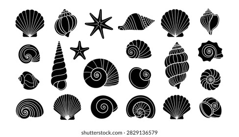 Detailed monochrome vector art of assorted marine shells and starfish